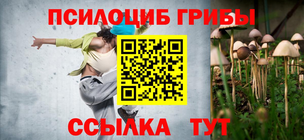 Калининград  Галлюциногенные грибы Psilocybe  Вход с VPN 